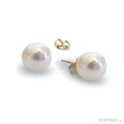 Orecchini di perle di coltura Akoya in oro 14k, 7.5-8 mm, bianche
