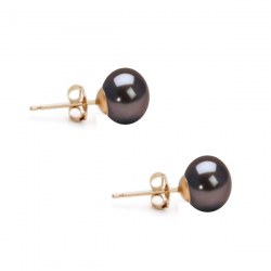 Paio di orecchini di perle d'acqua dolce nere riflessi ramati 6-7 mm bottone AA+ Oro Giallo 14k