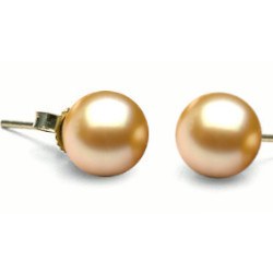 Orecchini di perle di coltura Akoya dorate 6-6.5 mm, AAA