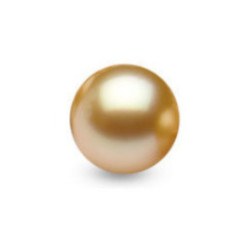 Perla delle Filippine non montata, dorata 10-11 mm di qualità AAA