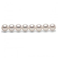 Filo 40 cm non montato di perle coltivate Akoya 8-8,5 mm bianche